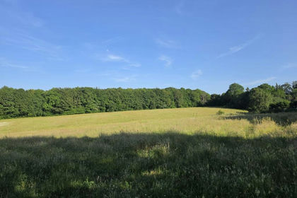 3.3 acres of Agricultural Land for sale in Seal