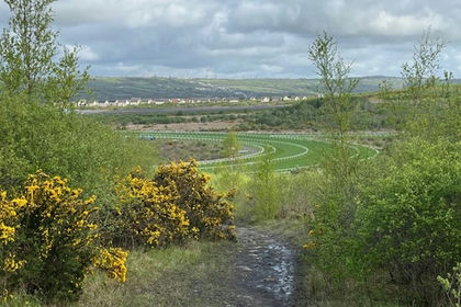 56 acres of Woodland for sale in Llangyndeyrn