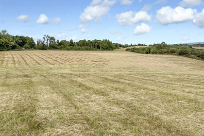 29.4 acres of For sale in Dalton-le-Dale