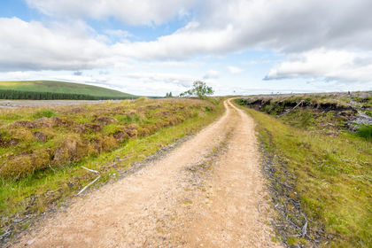 390.4 acres of Timberland for sale in Caithness, Sutherland and Easter Ross