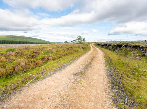 390.4 acres of Timberland for sale in Caithness, Sutherland and Easter Ross