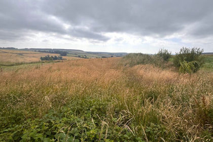 Building Plot for sale in Berwickshire, Roxburgh and Selkirk