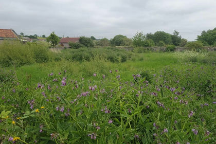 Development Land for sale in Dunfermline and Dollar