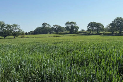 30 acres of Agricultural Land for sale in Penyffordd