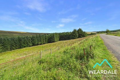 4.7 acres of Woodland for sale in Alston Moor