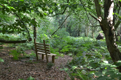 5.5 acres of Woodland for sale in