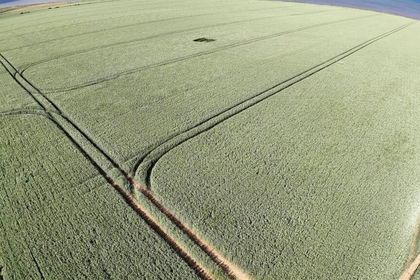 32 acres of Agricultural Land for sale in Roos