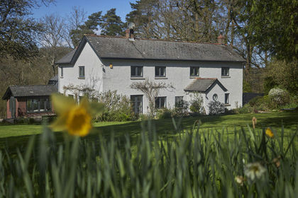 3.5 acres of House with Land for sale in Hemyock