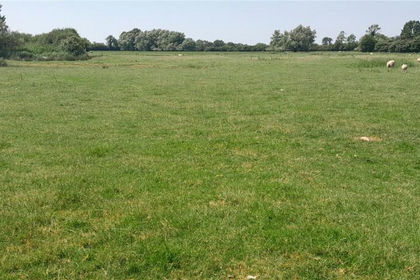 12.4 acres of Agricultural Land for sale in Mark