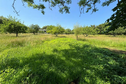 38.9 acres of Property for sale in Winford