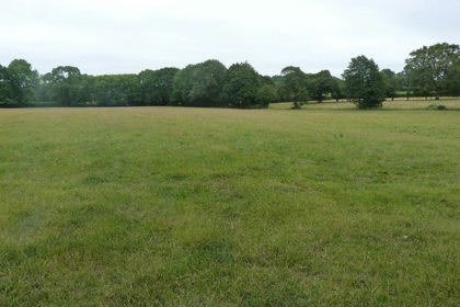 50 acres of Pasture for sale in Ditton Priors