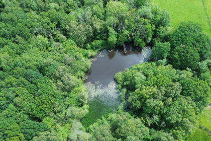 3.4 acres of Development Land for sale in Trawsgoed