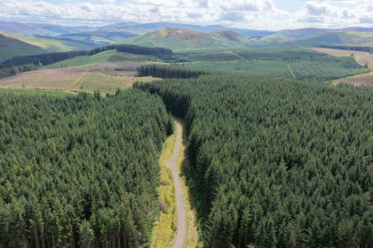276.8 acres of Timberland for sale in Dumfriesshire, Clydesdale and Tweeddale