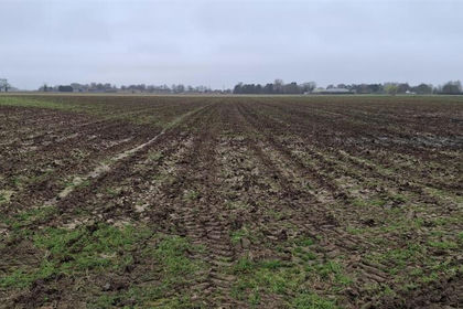 26.4 acres of Arable Land for sale in Freiston