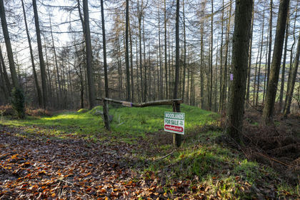 3 acres of Woodland for sale in