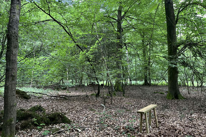 5.8 acres of Woodland for sale in