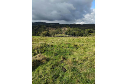 6.1 acres of Pasture for auction in Crosthwaite and Lyth