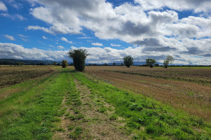 43.7 acres of For sale in Bretforton