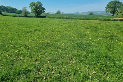 4.1 acres of Agricultural Land for sale in Worthen with Shelve