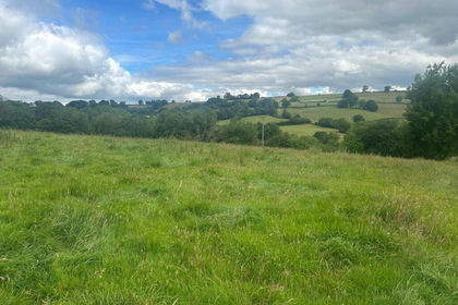 5.6 acres of Agricultural Land for sale in Upottery
