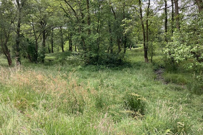 3 acres of Vacant Land for sale in Llanyre