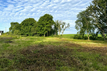 Agricultural Land for sale in Berwickshire, Roxburgh and Selkirk