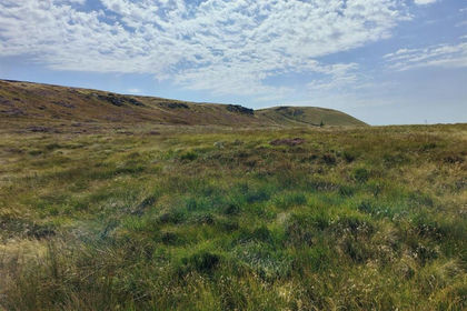 44.3 acres of For sale in Rainow
