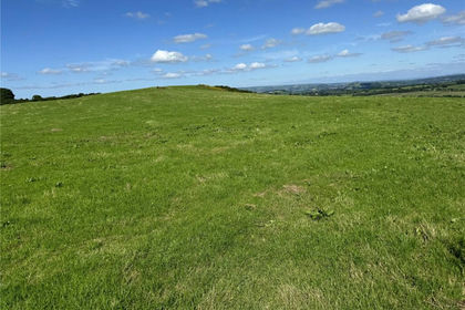 24.5 acres of Agricultural Land for sale in Llangynog