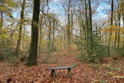 4.8 acres of For sale in West Yorkshire