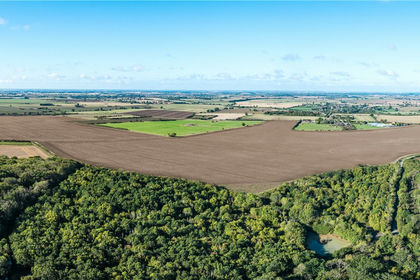 209.2 acres of Farmland for sale in Warboys