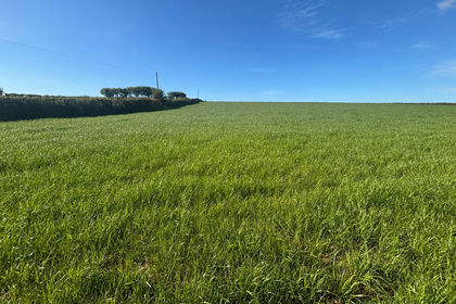 Vacant Land for sale in Totnes