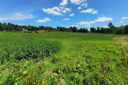 30.9 acres of Farmland for sale in Nutfield