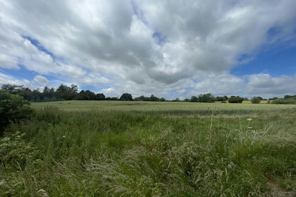 Agricultural Land for sale in Fyfield