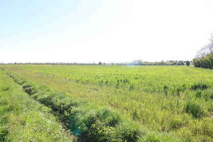 16.8 acres of Arable Land for sale in Barkston Ash