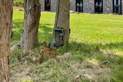 34 acres of Agricultural Land for sale in Llanfihangel-ar-Arth