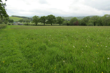 7.6 acres of Agricultural Land for sale in Newton Abbot