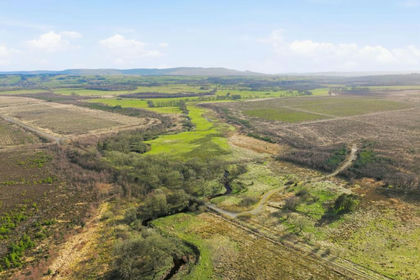 31.4 acres of Agricultural Land for sale in Stirling and Strathallan