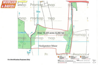 13.3 acres of Agricultural Land for sale in Lamphey