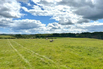 34.7 acres of Agricultural Land for sale in Berwickshire, Roxburgh and Selkirk