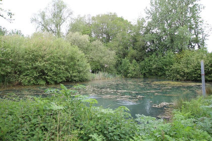 15.4 acres of Undeveloped Land for sale in North Luffenham