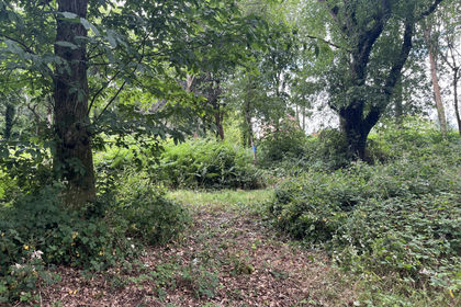 4.3 acres of Woodland for sale in