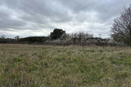 1.2 acres of Building Plot for sale in Cawston