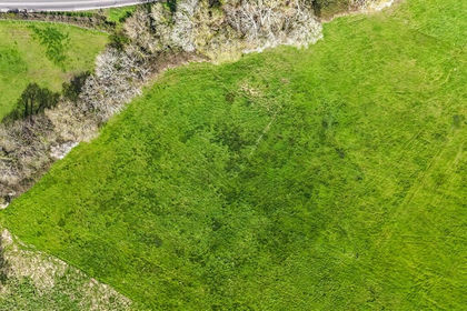 Grazing Land for sale in Netley Marsh
