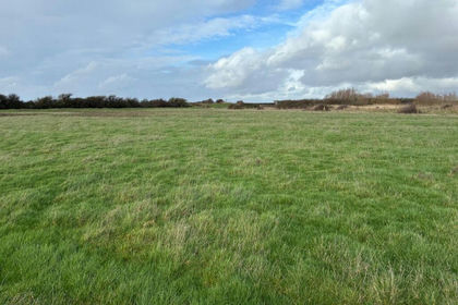 40.8 acres of Agricultural Land for sale in West Huntspill
