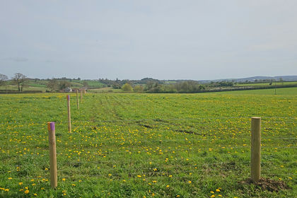5.5 acres of Conservation Land for sale in