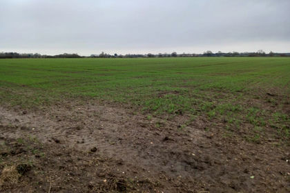 Undeveloped Land for sale in Collingham