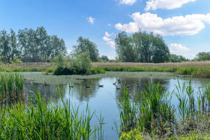 6.5 acres of Agricultural Land for sale in Soham