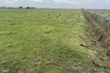 19.6 acres of Grazing Land for sale in Great Yarmouth