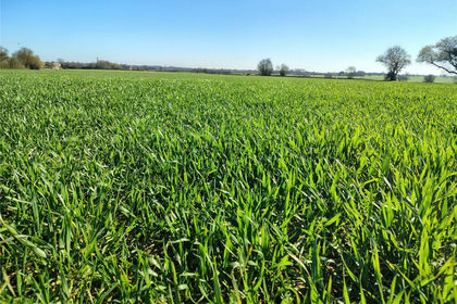 31.8 acres of Agricultural Land for sale in Buxhall