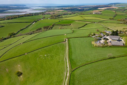 99.5 acres of Farm for sale in Marwood